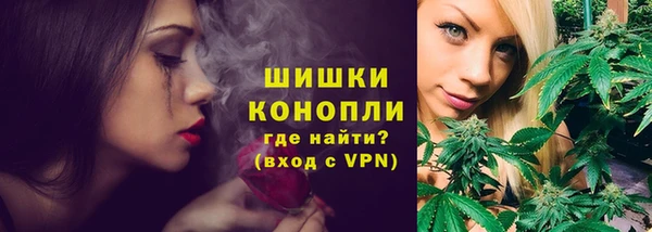 молекула духа Михайловск