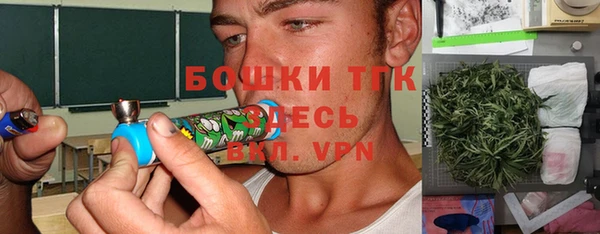 молекула духа Михайловск