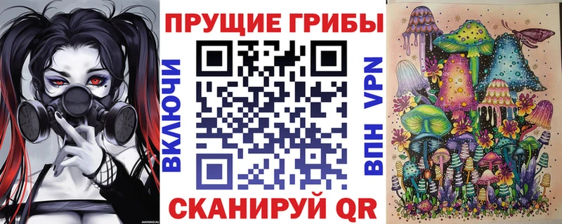 даркнет сайт  Череповец  МЕГА онион  Псилоцибиновые грибы мицелий 