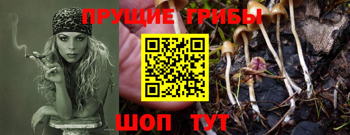 Череповец  Псилоцибиновые грибы мухоморы  Псилоцибиновые грибы GOLDEN TEACHER  Вход с VPN 