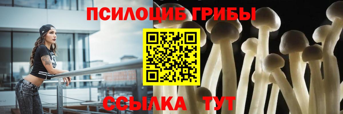 Псилоцибиновые грибы MAGIC MUSHROOMS Череповец