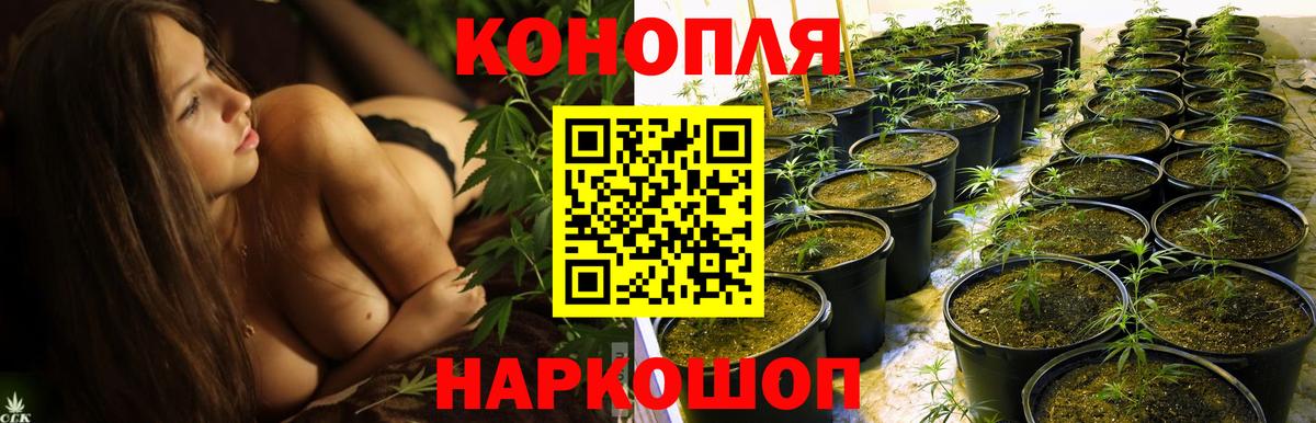 Марихуана White Widow  МАРИХУАНА конопля  Бошки Шишки White Widow  Вход с VPN  Шишки марихуана конопля  Череповец 